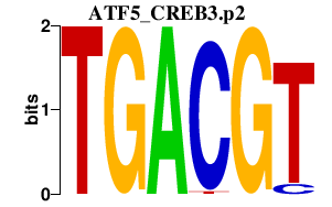 logo of ATF5_CREB3.p2