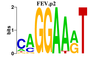 logo of FEV.p2