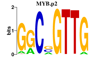 logo of MYB.p2