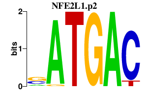 logo of NFE2L1.p2