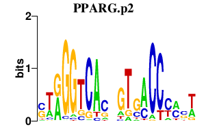logo of PPARG.p2