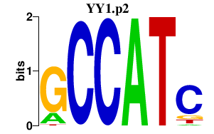 logo of YY1.p2