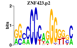logo of ZNF423.p2