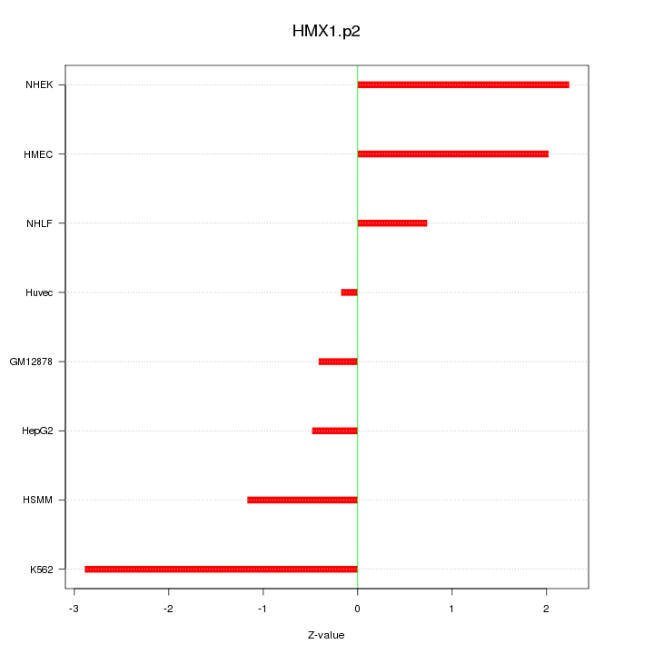 Sorted Z-values for motif HMX1.p2