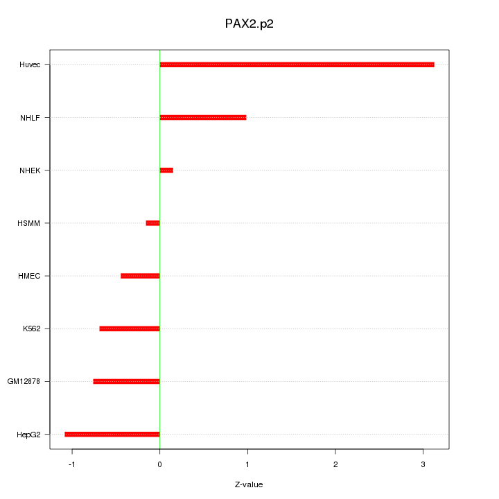 Sorted Z-values for motif PAX2.p2