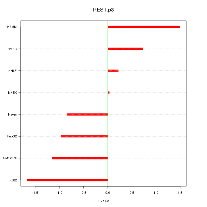Sorted Z-values for motif REST.p3