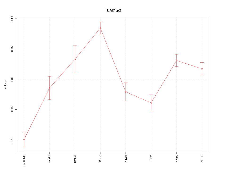 activity profile for motif TEAD1.p2