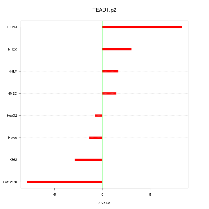 Sorted Z-values for motif TEAD1.p2