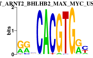 logo of ARNT_ARNT2_BHLHB2_MAX_MYC_USF1.p2