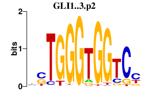 logo of GLI1..3.p2