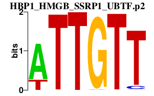logo of HBP1_HMGB_SSRP1_UBTF.p2