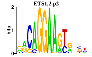 logo of ETS1,2.p2