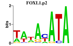 logo of FOXL1.p2