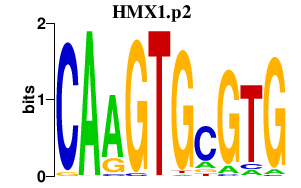 logo of HMX1.p2