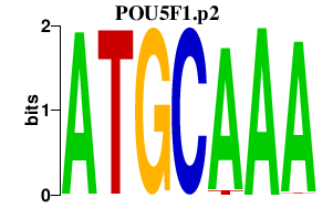 logo of POU5F1.p2