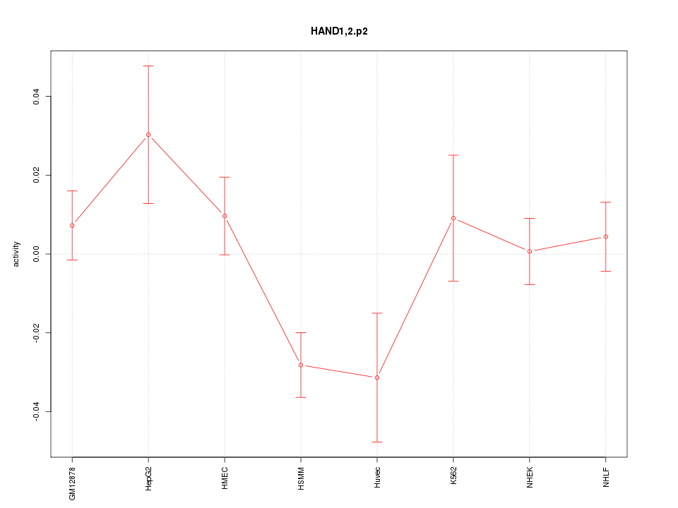 activity profile for motif HAND1,2.p2