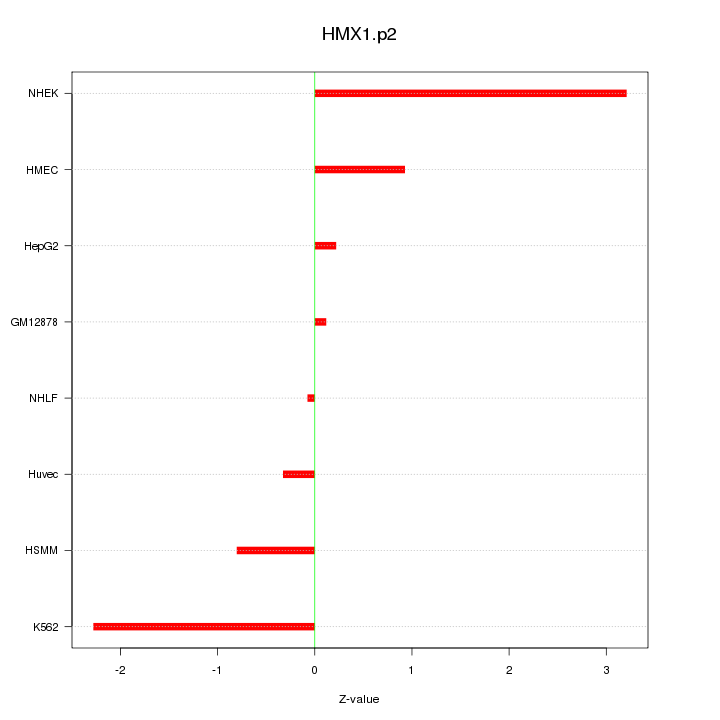 Sorted Z-values for motif HMX1.p2