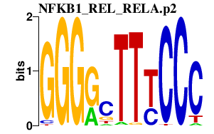 logo of NFKB1_REL_RELA.p2