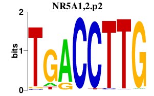 logo of NR5A1,2.p2
