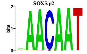 logo of SOX5.p2