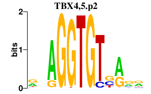 logo of TBX4,5.p2