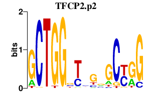 logo of TFCP2.p2