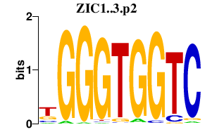 logo of ZIC1..3.p2