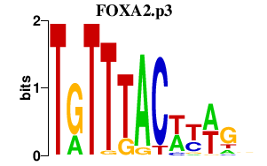 logo of FOXA2.p3