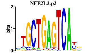 logo of NFE2L2.p2