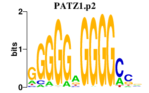 logo of PATZ1.p2