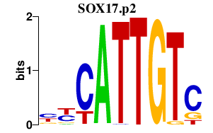 logo of SOX17.p2