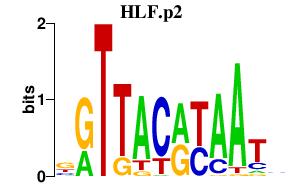 logo of HLF.p2