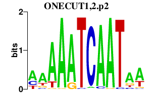 logo of ONECUT1,2.p2