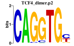 logo of TCF4_dimer.p2