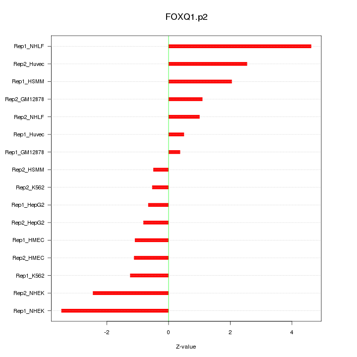 Sorted Z-values for motif FOXQ1.p2