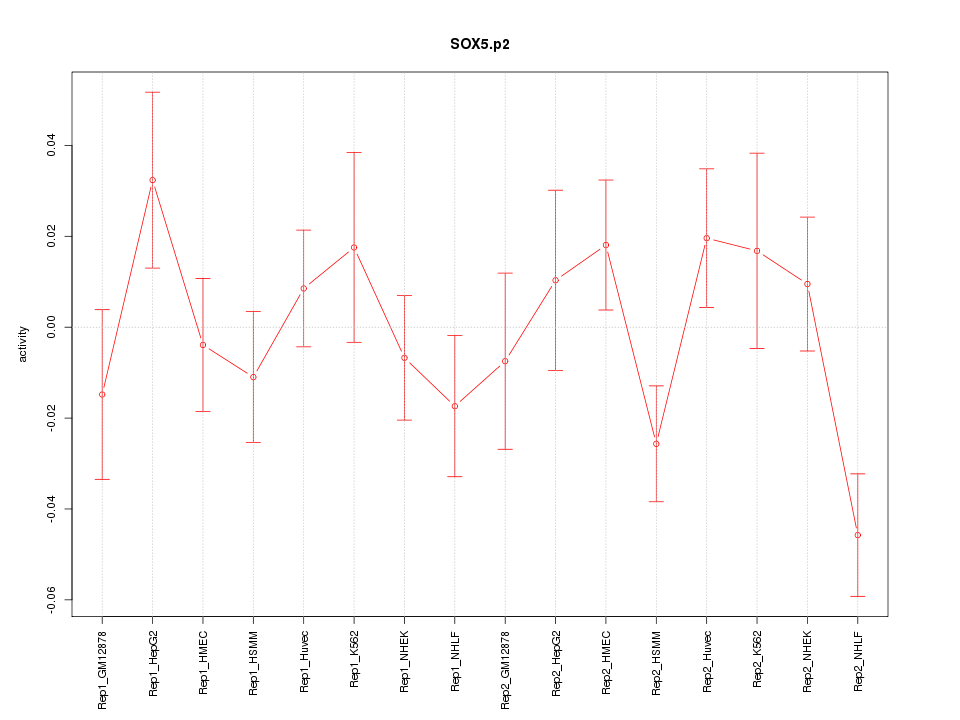 activity profile for motif SOX5.p2